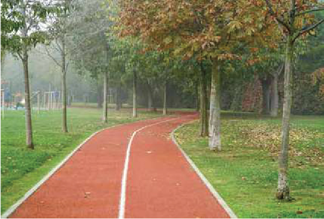 Jogging Track
